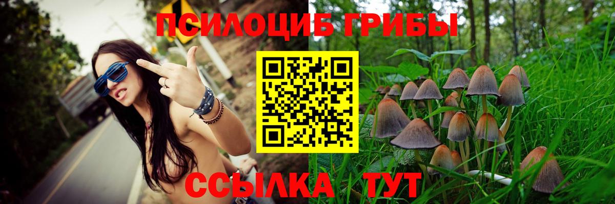 Галлюциногенные грибы Cubensis  Вход с VPN  Котовск  Псилоцибиновые грибы Psilocybe 
