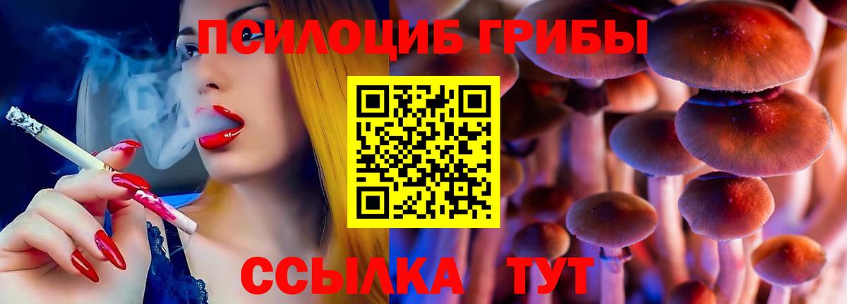 Псилоцибиновые грибы мицелий Котовск